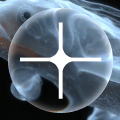 BIOTA logo